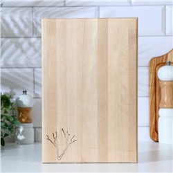 Доска разделочная и сервировочная, береза 30х20х2 см