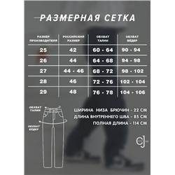 Женские джинсы прямые тонкие CRACPOT