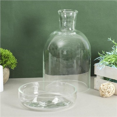 Ваза «Мини-флорариум», 3 л, 28×18 см, стекло, прозрачная