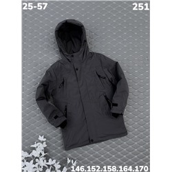 Куртка 251 серый