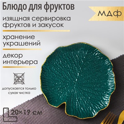 Блюдо для фруктов Доляна «Кувшинка», 20×19 см, зелёное