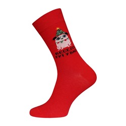 БРЕСТСКИЕ НОСКИ 4200 CRAZYEAR