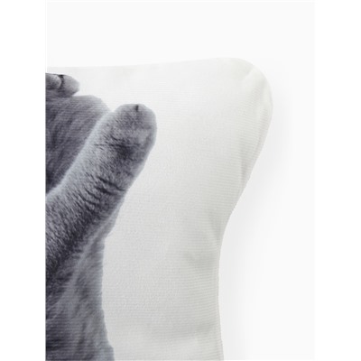 Подушка «Этель» Playful cat, 40×33 см, 100% п/э, велюр
