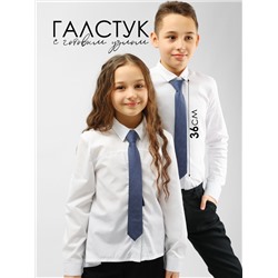 Соль&Перец Галстук SP304A