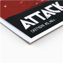 Скетчбук А5, 40 листов, 100 г «Аниме»