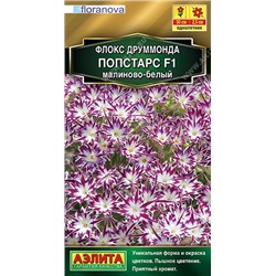 Флокс Попстарс F1 малиново-белый (Аэлита)