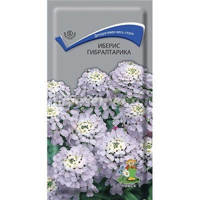Иберис Гибралтарика Мн (П)