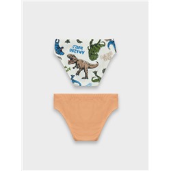 ТРУСЫ ДЛЯ МАЛЬЧИКОВ (2ШТ.) 413351-2