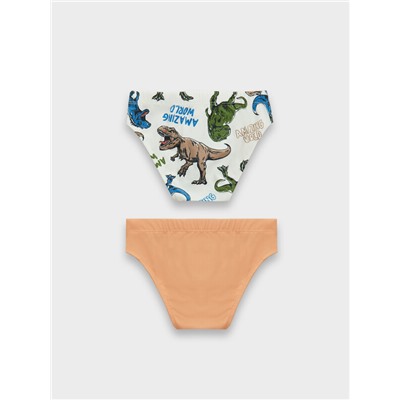 ТРУСЫ ДЛЯ МАЛЬЧИКОВ (2ШТ.) 413351-2