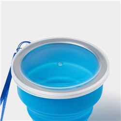 Стакан силиконовый складной с крышкой Доляна «Айли», 200 мл, 8.5×9 см, цвет синий