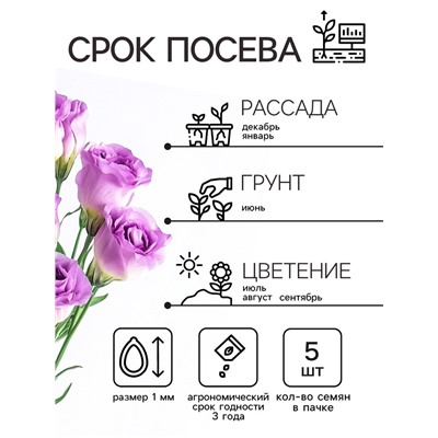 Семена   Эустома "Эйбиси" F1 пурпурная крупноцветковая махровая , 5шт