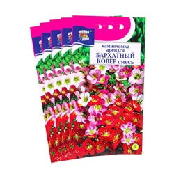 Набор семян Камнеломка "Бархатный ковер", 5 шт.