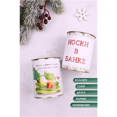 Носки стандарт в банке №GL1703 Змей НАТАЛИ, 1052227