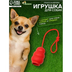 Игрушка «Граната на веревке», игрушка 10.5×5 см, термопластичная резина, красная