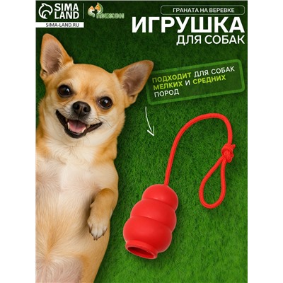 Игрушка «Граната на веревке», игрушка 10.5×5 см, термопластичная резина, красная