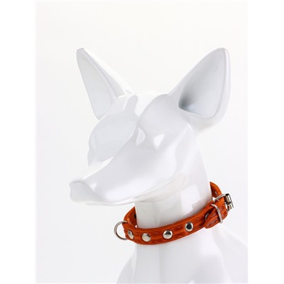 Ошейник, 29×1.2 см, ОШ 18-25 см, однослойный, украшенный, кожа, цвет МИКС