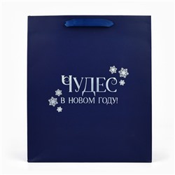 Пакет подарочный новогодний «Чудес в Новом году», голография, ML 23×11.5×27 см