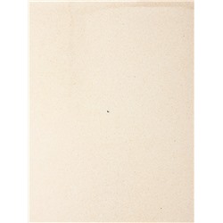 УЦЕНКА Ведро эмалированное, 10 л, без декора, с крышкой и ручкой, слоновое