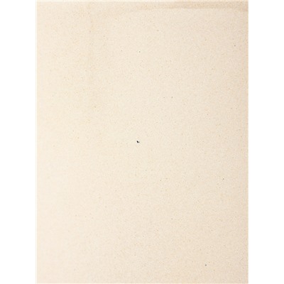 УЦЕНКА Ведро эмалированное, 10 л, без декора, с крышкой и ручкой, слоновое