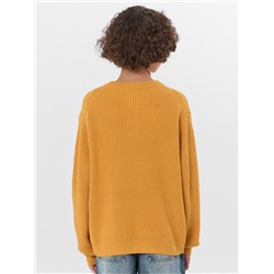 ДЖЕМПЕР ДЛЯ МАЛЬЧИКОВ 123492