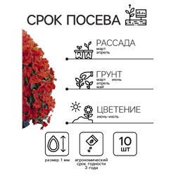 Семена Бальзамин «Супер Эльфин», F1, 10 шт., «Семена Алтая»