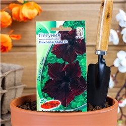 Семена цветов Петуния крупноцветковая «Пиковая дама», F1, Premium seeds