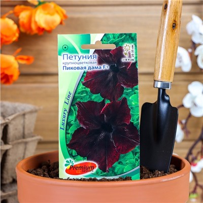 Семена цветов Петуния крупноцветковая «Пиковая дама», F1, Premium seeds