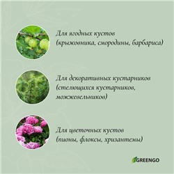 Кустодержатель, d=40 см, h=60 см, ножка d=0.3 см, металл, набор 2 шт., зелёный, Greengo