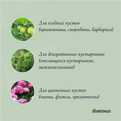 Кустодержатель, d=40 см, h=60 см, ножка d=0.3 см, металл, набор 2 шт., зелёный, Greengo