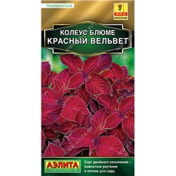 1542A Колеус блюме Красный вельвет 10 шт