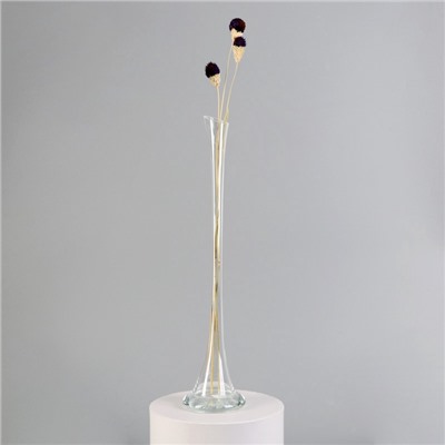 УЦЕНКА Ваза «Фристайл» с-2 d=2.5 см, 40×9.5 см, 0.2 л 2454