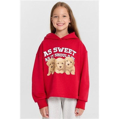 Худи MARK FORMELLE, 1132124