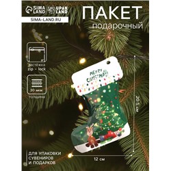 Пакет подарочный новогодний, с zip - lock застежкой, 12×20.5 см