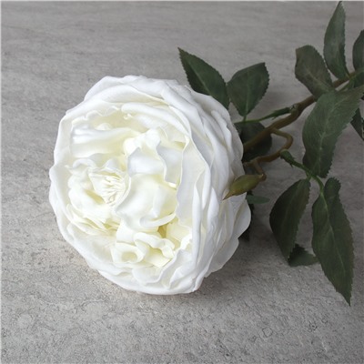 Цветок искусственный Пионовидная роза 59 см / GR-005 /уп 144/силикон