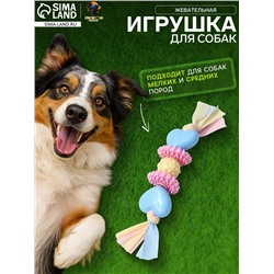 Игрушка жевательная Пижон Premium на верёвке, 5 элементов, термопластичная резина, МИКС