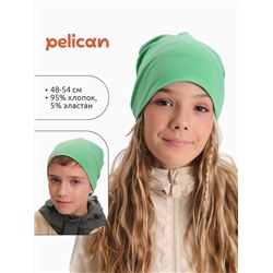 PELICAN Шапка