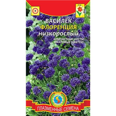 Василек Флоренция (Код: 75133)
