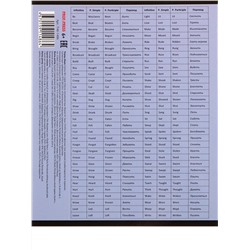 Тетрадь КЛЕТКА 48л. АНГЛИЙСКИЙ ЯЗЫК «МАНГА» (Т48-1486) стандарт, твин-лак