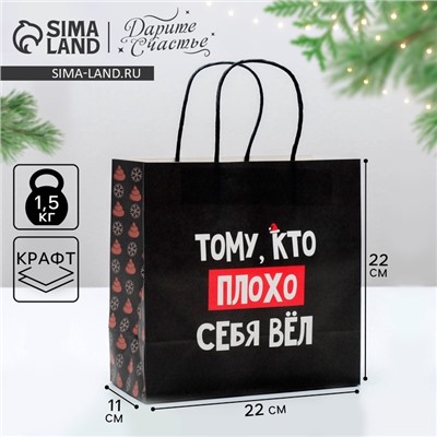 Пакет подарочный новогодний «Кто плохо себя вёл», 22×22×11 см