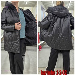 Куртка осень 1983617-2