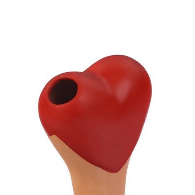 Ороситель «Сердечко», 14×4.6 см, керамика, набор 4 шт., МИКС