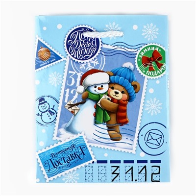 Пакет подарочный новогодний ламинированный «Новогодняя посылка», S 12×15×5.5 см