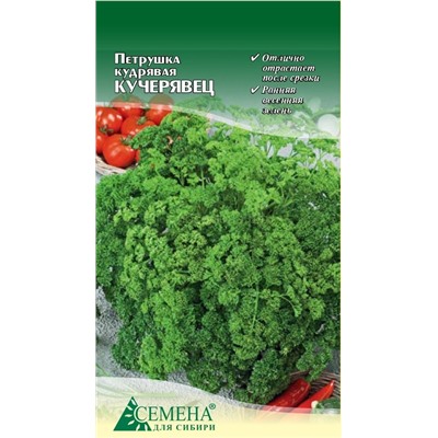 Петрушка кудрявая Кучерявец, 2г (цв.)