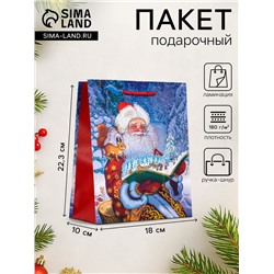 Пакет подарочный новогодний ламинированный, «Дед мороз», 18×10×22.3 см