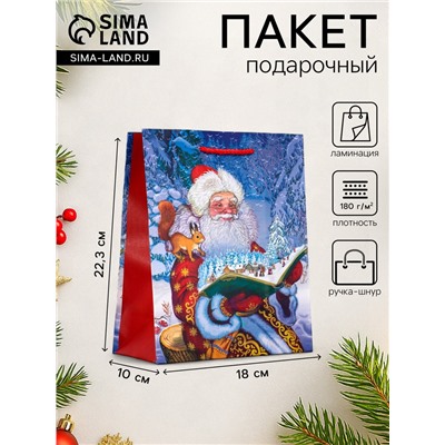 Пакет подарочный новогодний ламинированный, «Дед мороз», 18×10×22.3 см