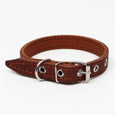 Ошейник кожаный двухслойный, 46×2 см, ОШ 25-35 см, коричневый