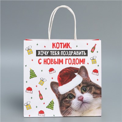 Пакет подарочный новогодний крафтовый «Котик», 22×22×11 см
