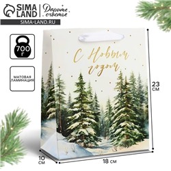 Пакет подарочный новогодний ламинированный «С Новым годом», MS 18×23×10 см