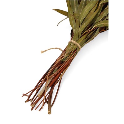 Веник для бани, эвкалиптовый, в еврослоте, «Добропаровъ»