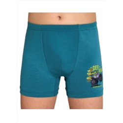 Трусы для мальчика Berrak